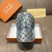Louis Vuitton AAA+ hats &amp; caps #A48044