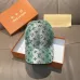 Louis Vuitton AAA+ hats &amp; caps #A48052