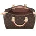 Louis Vuitton 2021 speedy printed canvas Handbag for women #9121479