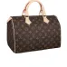 Louis Vuitton 2021 speedy printed canvas Handbag for women #9121479