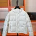 Fendi Coats/Down Jackets for women #A41630