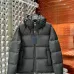 Louis Vuitton Coats/Down Jackets #A44192