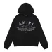 AMIRI Hoodies for Men #A37844
