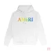 AMIRI Hoodies for Men #A42186