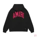 AMIRI Hoodies for Men #A45100