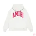 AMIRI Hoodies for Men #A45100