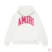 AMIRI Hoodies for Men #A45100
