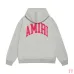 AMIRI Hoodies for Men #A45100