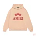 AMIRI Hoodies for Men #A45101