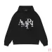 AMIRI Hoodies for Men #A45106