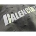 Balenciaga Hoodies for Men and Women #999929001