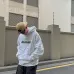 Balenciaga Hoodies for Men and Women #999929005