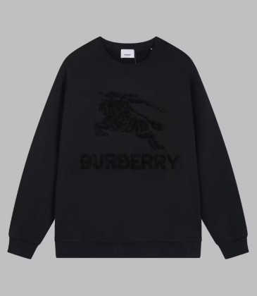 Burberry Hoodies for Men #A27067