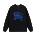 Burberry Hoodies for Men #A42559