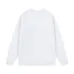 Loewe Hoodies #A41037