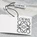 Loewe Hoodies #A44217