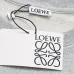Loewe Hoodies #A44217