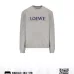 Loewe Hoodies for Men and women #A42365