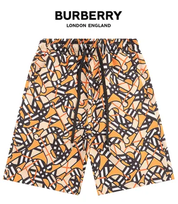 Burberry Pants for Burberry Short Pants for men #999930493