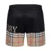 Burberry Pants for Burberry Short Pants for men #999931518