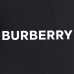 Burberry Pants for Burberry Short Pants for men #9999921424