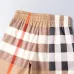 Burberry Pants for Burberry Short Pants for men #A50239