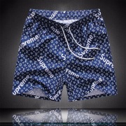 Louis Vuitton Short Pants for men  #996902