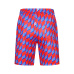 Louis Vuitton Pants for Louis Vuitton Short Pants for men #999928194