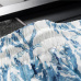 Louis Vuitton Pants for Louis Vuitton Short Pants for men #A32204