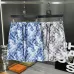 Louis Vuitton Pants for Louis Vuitton Short Pants for men #A34841