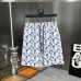 Louis Vuitton Pants for Louis Vuitton Short Pants for men #A34842