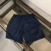 Louis Vuitton Pants for Louis Vuitton Short Pants for men #A40248
