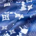 Louis Vuitton Pants for Louis Vuitton Short Pants for men #A50251