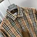 Burberry Shirts for Burberry Men's AAA+ Burberry Long-Sleeved Shirts #A33072