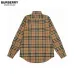 Burberry Shirts for Burberry Men's AAA+ Burberry Long-Sleeved Shirts #A49805
