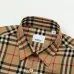 Burberry Shirts for Burberry Men's AAA+ Burberry Long-Sleeved Shirts #A49806