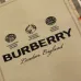 Burberry Shirts for Burberry Men's AAA+ Burberry Long-Sleeved Shirts #A49807
