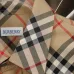 Burberry Shirts for Burberry Men's AAA+ Burberry Long-Sleeved Shirts #A49808