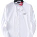 Louis Vuitton Shirts for Louis Vuitton long sleeved shirts for men #A30435