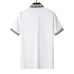 Gucci T-shirts for Gucci Polo Shirts #A46313