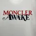 Moncler T-shirts for men #A45820