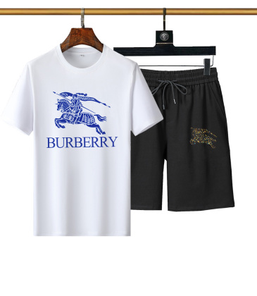 Burberry Tracksuits for Burberry Short Tracksuits for men #999936031
