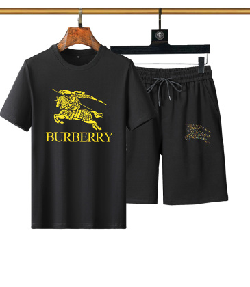 Burberry Tracksuits for Burberry Short Tracksuits for men #999936032