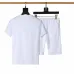 Burberry Tracksuits for Burberry Short Tracksuits for men #A51947