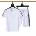 Burberry Tracksuits for Burberry Short Tracksuits for men #A51947