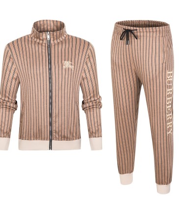 Burberry Tracksuits for Men's long tracksuits #999901966