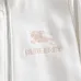 Burberry Tracksuits for Men's long tracksuits #A29060