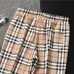 Burberry Tracksuits for Men's long tracksuits #A41119