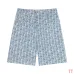 Dior tracksuits for Dior Short Tracksuits for men Denim suit #A52987
