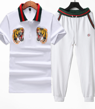 Gucci Tracksuits for Gucci short tracksuits for men #999921724